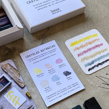 Cargar imagen en el visor de la galería, Crayolas botánicas