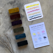 Cargar imagen en el visor de la galería, Crayolas botánicas