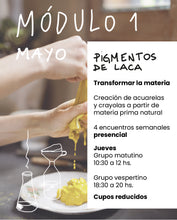 Cargar imagen en el visor de la galería, MÓDULO 1 -Pigmentos de laca - mensual - presencial