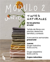 Cargar imagen en el visor de la galería, MÓDULO 2 -Tintes Naturales - mensual - presencial
