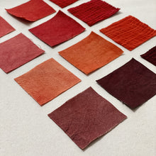 Cargar imagen en el visor de la galería, Rubia Tinctorea (Madder)