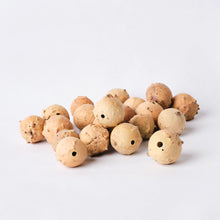 Load image into Gallery viewer, Agallas de roble
